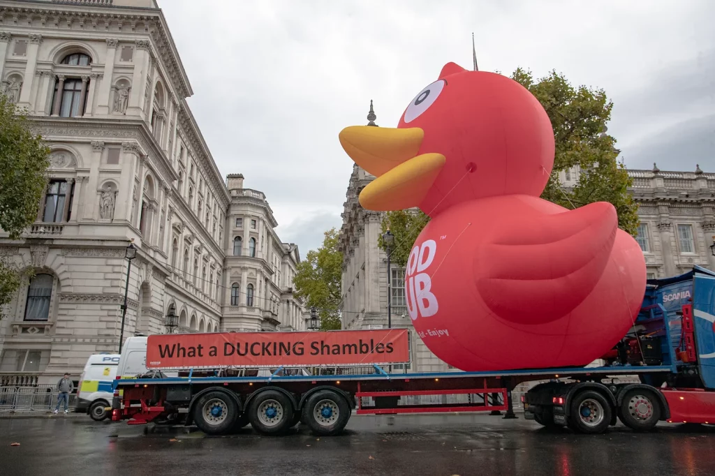 sort-out-this-ducking-shambles-demands-downing-street-duck