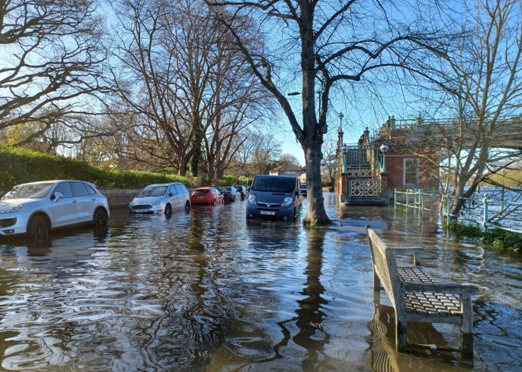 Copy of AWARD WINNING FISH AND CHIPS and#8211 30