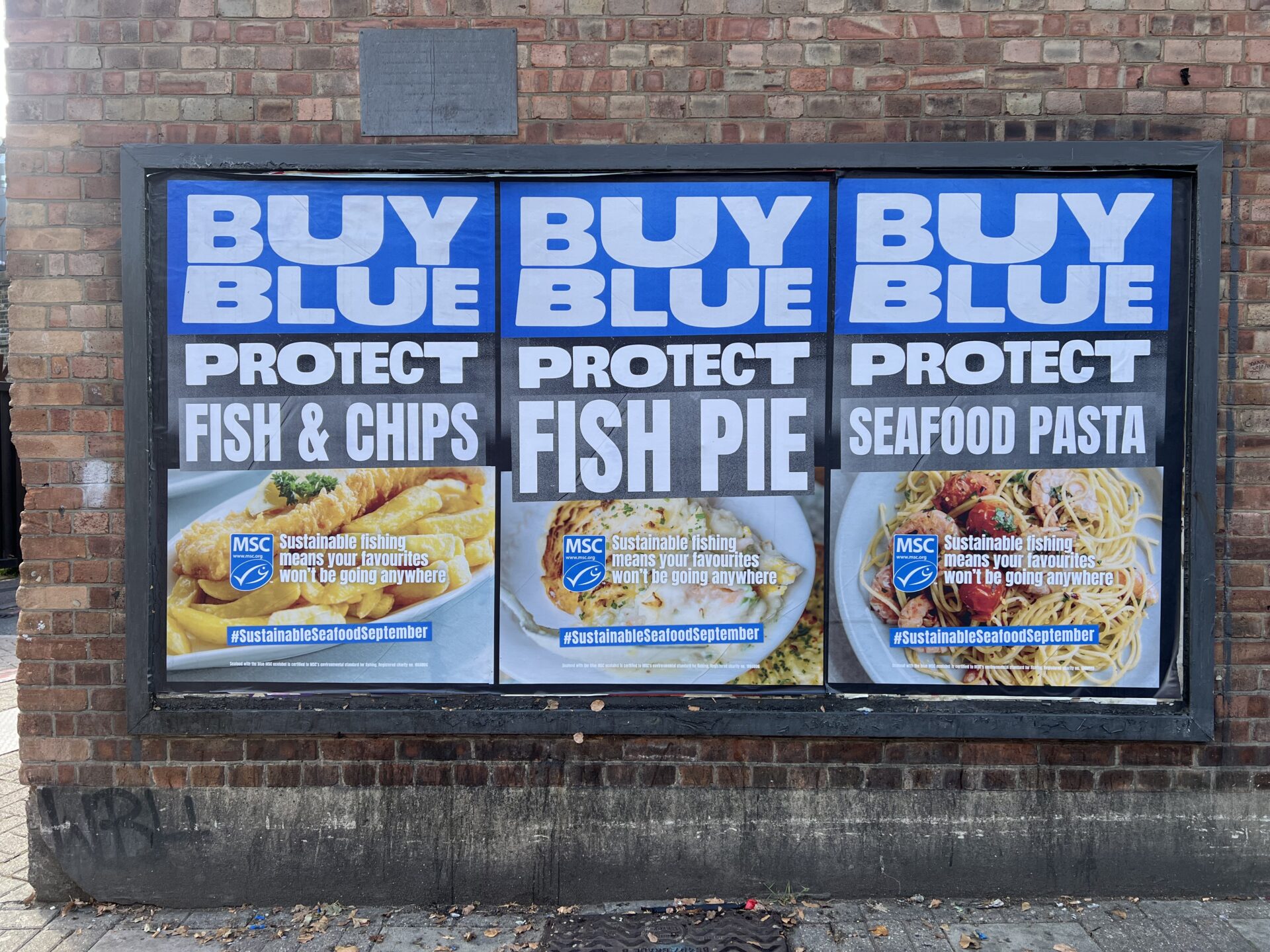 Consumers urged to Buy Blue to protect their chippy favourites - FRY ...