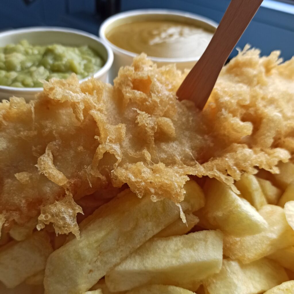 494151108 1508139950437623 3383035172122509240 n