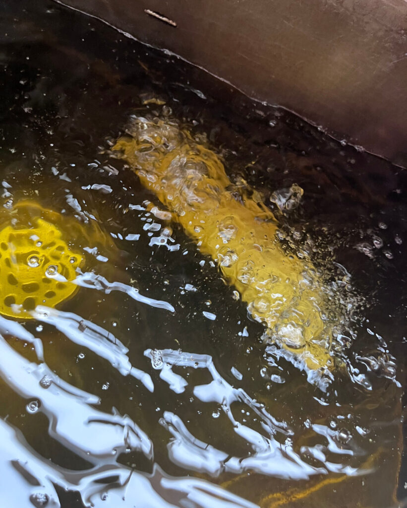 Untitled design and#8211 9