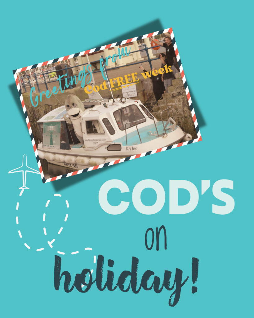 679653383 1757397218557199 3993281908919539831 n