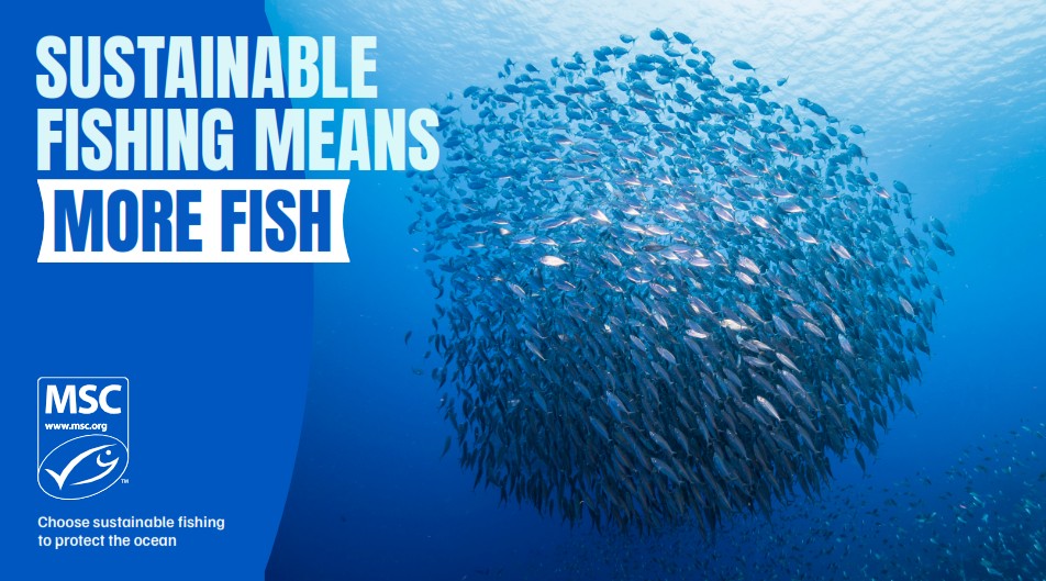 WOD sustainable fishing image